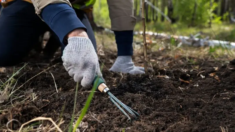 Untitled-design-2025-09-22T220422.341.jpg!webp